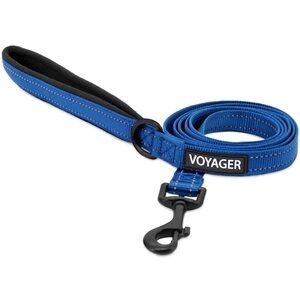 Voyager Blue Dog Leash